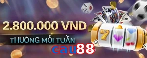 cau88