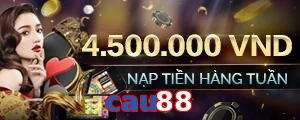 cau88