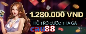 cau88