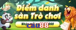 cau88
