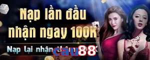 cau88