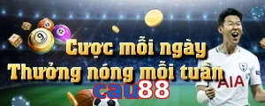 cau88